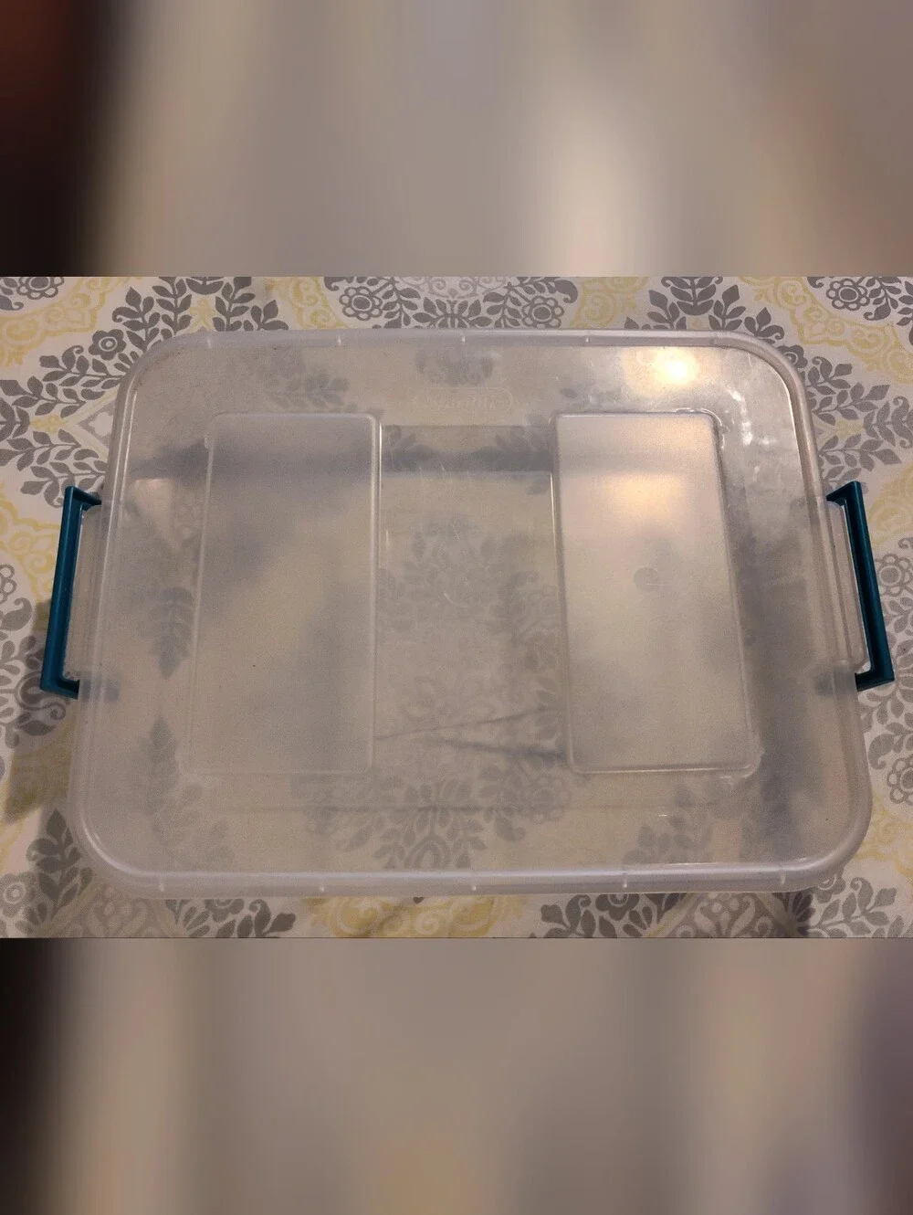 Bundle Of Clear Plastic Compartment Storage Box with Blue Latches - Organization